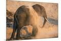 Photographic Print