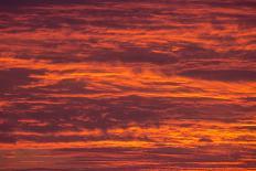 Sunrise cloudscape, Kgalagadi Transfrontier Park, South Africa, Africa-Ann and Steve Toon-Photographic Print
