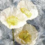 White Roses 2-Ann Bailey-Art Print