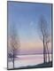 Premium Giclee Print