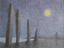 Dusk at Draycote, 2008-Ann Brain-Giclee Print