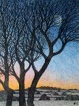 Dusk at Draycote, 2008-Ann Brain-Giclee Print