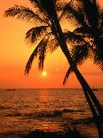 Palm Trees on the Beach at Sunset, Lanikai, U.S.A.-Ann Cecil-Framed Photographic Print