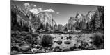 Photographic Print