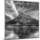 Premium Photographic Print