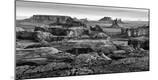Photographic Print