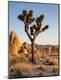 Premium Photographic Print