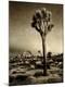 Photographic Print