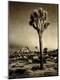 Photographic Print