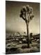 Photographic Print
