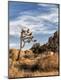 Premium Photographic Print