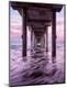Premium Photographic Print