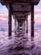 Premium Photographic Print