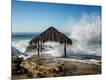 Photographic Print