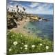 Premium Photographic Print