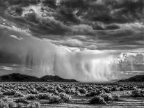USA, California, Mojave National Preserve, Desert Rain Squall at Sunset-Ann Collins-Photographic Print