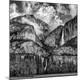 Photographic Print