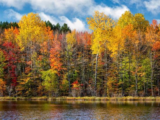 USA, Michigan, Upper Peninsula, Munising. Autumn trees at Thornton Lake ...