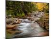 Premium Photographic Print