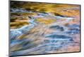 Premium Photographic Print
