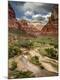 Photographic Print