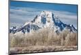 Photographic Print