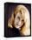 Ann-Margret-null-Framed Stretched Canvas