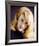 Ann-Margret-null-Framed Photo