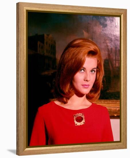 Ann-Margret-null-Framed Stretched Canvas