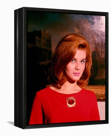 Ann-Margret-null-Framed Stretched Canvas