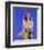 Ann-Margret-null-Framed Photo