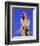 Ann-Margret-null-Framed Photo