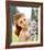 Ann-Margret-null-Framed Photo