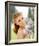 Ann-Margret-null-Framed Photo