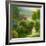 Ann Marie's Garden-Hulsey-Framed Art Print