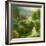 Ann Marie's Garden-Hulsey-Framed Art Print