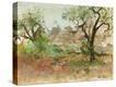 Stretched Canvas Print