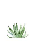 Agave I-Ann Solo-Art Print