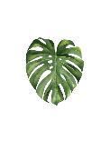 Palm Leaf I-Ann Solo-Art Print
