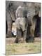 Premium Photographic Print