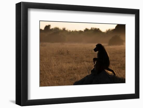 Photographic Print, , large