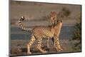 Premium Photographic Print