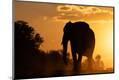 Photographic Print