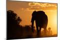 Photographic Print