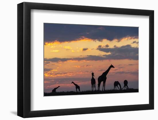 Photographic Print, , large