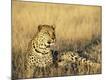 Premium Photographic Print