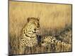 Photographic Print