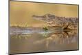 Premium Photographic Print
