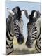 Premium Photographic Print