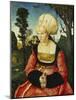 Anna Cuspinian, C, 1502-03-Lucas Cranach the Elder-Mounted Giclee Print